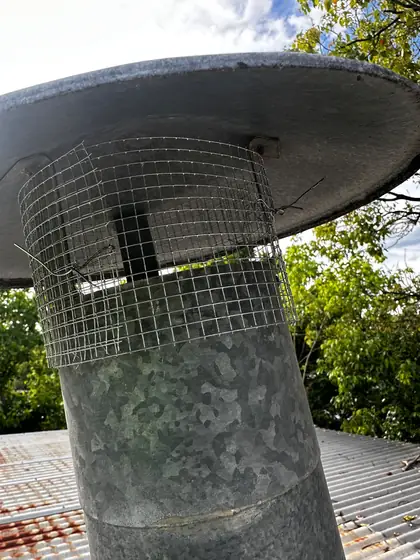 Wire mesh wrapped around a roof flue below its cap