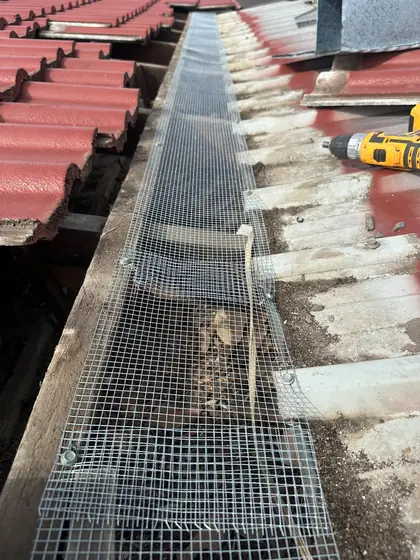 Galvanised mesh run along a gutter line under roof tiles